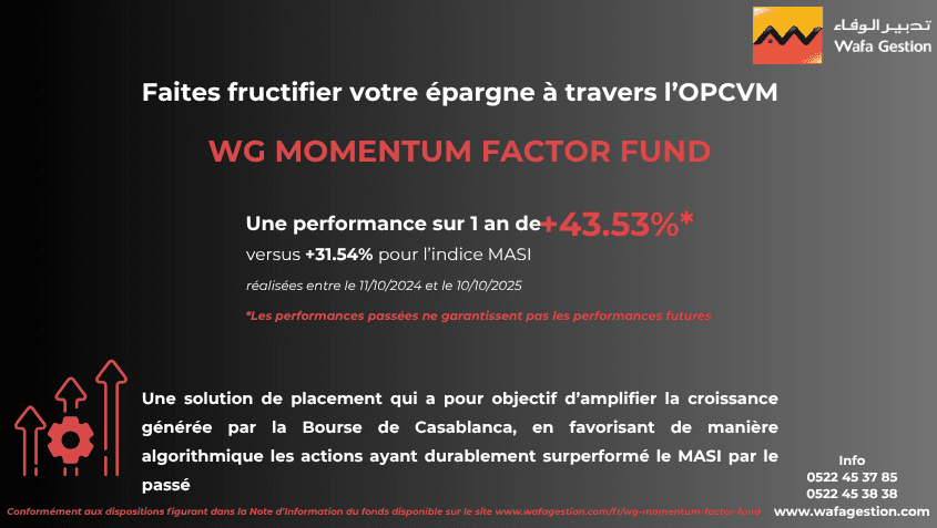 wg_momentum_factor_fund